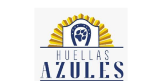 HUELLAS AZULES. 2 DE JUNIO – DÍA NACIONAL DEL PERRO
