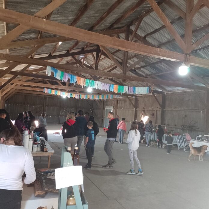 FERIA DEL GALPON