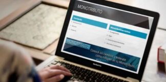Reglamentaron los cambios en el monotributo y el paquete fiscal de Milei entra en plena vigencia