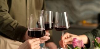 Bodegas, charlas y música en vivo: se viene el Paseo del Vino