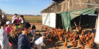 BUENAS NOTICIAS PARA LA AGROECOLOGIA EN MERCEDES