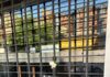 COMUNICADO AFIP: Basta de Violencia