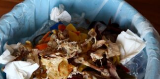 La paradoja de la pérdida y el desperdicio de alimentos en Argentina
