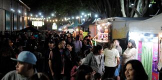 Fin de semana a pura Fiesta del Durazno