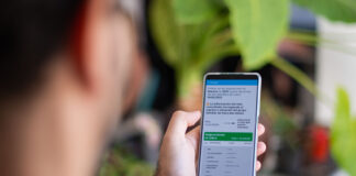 MI ANSES: AHORA ES POSIBLE ACCEDER A TODOS LOS DETALLES DEL COBRO DE LAS ASIGNACIONES