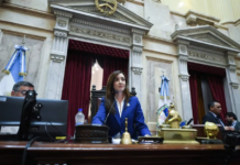 Victoria Villarruel congeló las dietas del Senado hasta marzo de 2025