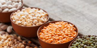 Legumbres: la nueva estrella de la alimentación saludable por su alto contenido proteico