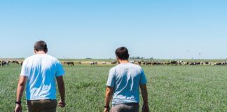 Día del Tambero: Mastellone Hnos. celebra el compromiso de quienes hacen posible la lechería argentina