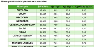 Según CARBAP, Mercedes en uno de los municipios con tasas viales más caras de la Provincia