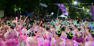 El carnaval se despidió ante una multitud en avenida 29