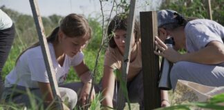 Plantación de nativas y jornada educativa en la Reserva Balta