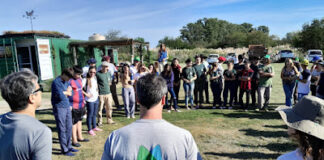 Participación en la plantación en el Balta
