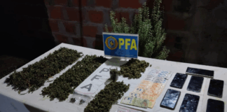 OPERATIVO “PALOMA MENSAJERA”: LA PFA DETUVO AL “WALKIE TALKIE” DE LOS MONOS