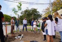 “El árbol, mi vecino” lleva más de 200 árboles fueron plantados y continúa