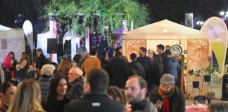 Dinova: “Nos estamos fortaleciendo también como referencia del enoturismo”