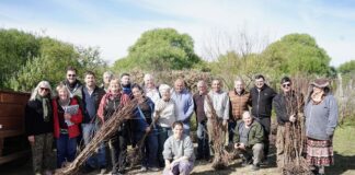 Plan Resurgir: municipio entregó plantas de durazno para impulsar la producción local