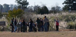 Una caminata nocturna invita a conectar con la naturaleza en la Reserva Arroyo Balta