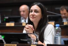 Diputados: buscan regular subas de nafta y gasoil