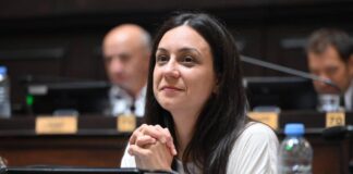 Diputados: buscan regular subas de nafta y gasoil
