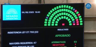 El Senado anuló el veto de Milei y convirtió en ley la emergencia en discapacidad