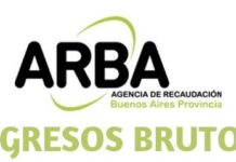 Kicillof busca aplicar una alícuota del 9% de II.BB. a los bonos emitidos por el Gobierno nacional