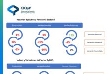 Informe Mensual: Sistema de Información Estadístico Sectorial de la CIQyP®.