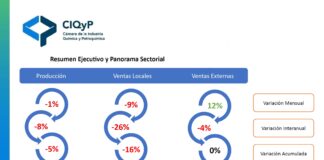 Informe Mensual: Sistema de Información Estadístico Sectorial de la CIQyP®.