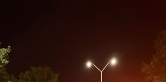 NUEVO OPERATIVO DE LA SECRETARÍA DE SEGURIDAD: 20 MOTOS SECUESTRADAS