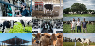 Mastellone Hnos. conmemora el Día del Tambero