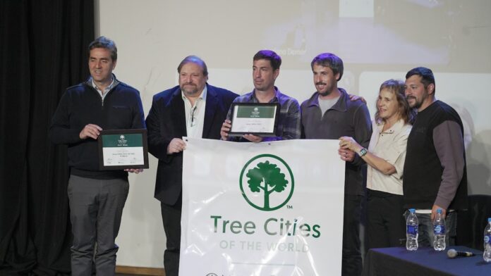 CIUDAD ÁRBOL