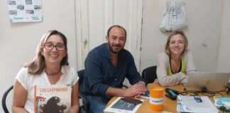 Articulación local y de PBA: buscan fortalecer la formación docente