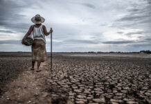 “Bancarrota hídrica” en el Día Mundial del Agua
