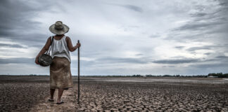“Bancarrota hídrica” en el Día Mundial del Agua