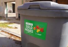 Municipio incorporó contenedores para hojas
