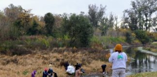 Más de 150 voluntarios en una masiva jornada de limpieza en el Río Luján