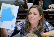 El Gobierno logró media sanción para recortar subsidios de Zona Fría