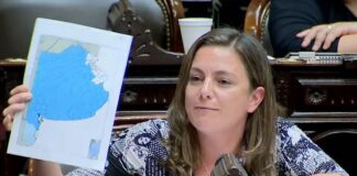 El Gobierno logró media sanción para recortar subsidios de Zona Fría