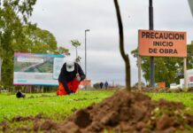 Comenzó la plantación de especies nativas en la Nueva Bajada de City Bell