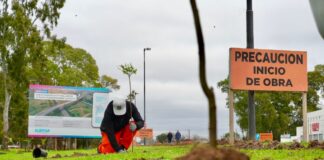 Comenzó la plantación de especies nativas en la Nueva Bajada de City Bell