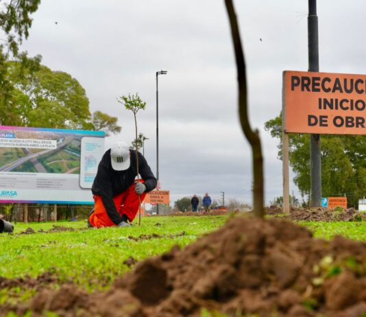 Comenzó la plantación de especies nativas en la Nueva Bajada de City Bell