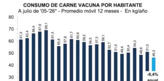 El consumo de carne vacuna cayó 12% en lo que va de 2026