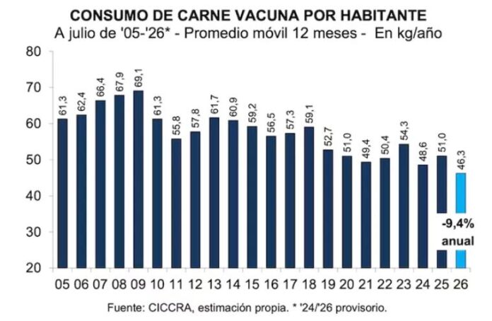 CAÍDA CONSUMO CARNE VACUNA