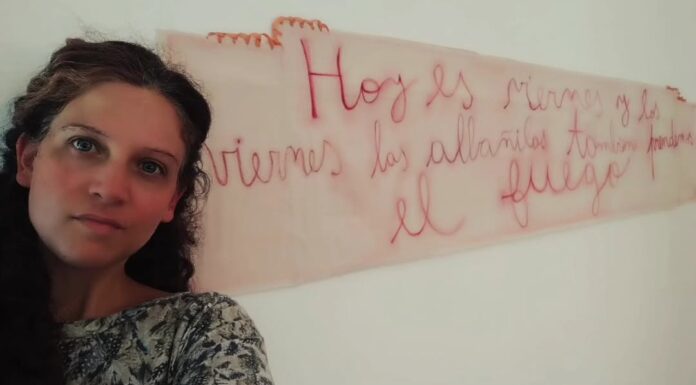PUEBLA: un proyecto que consolida la visibilización de las artes visuales de mujeres y diversidades bonaerenses