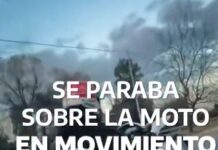 Medida ejemplar: Hacía acrobacias en moto y las subía a redes, PBA le suspendió la licencia hasta 2099