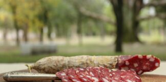 Mercedes se prepara para su gran Fiesta Nacional del Salame Quintero