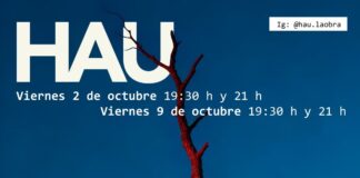 Llega HAU a Mercedes, una obra de teatro físico contemporáneo dirigida por Marina Cabral.