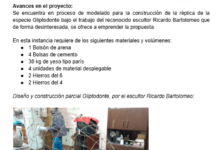 Hacia el parque paleontológico en la reserva arroyo Balta. PARTE 1
